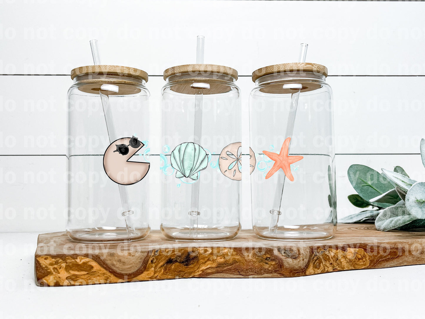 Beach Sea Creatures Pac