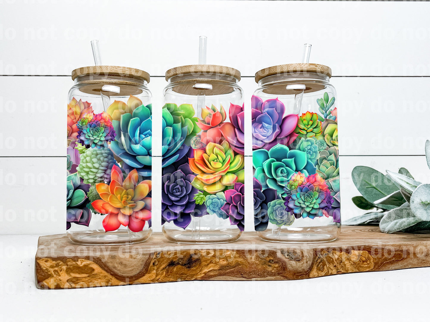Colorful Succulents 16oz Cup Wrap