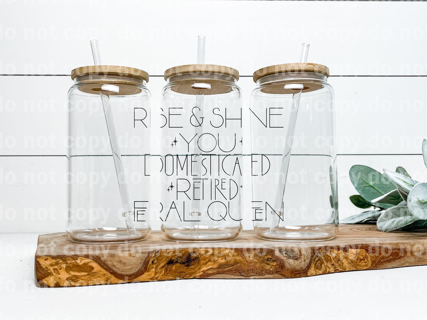 Rise and Shine You Domestic Retired Feral Queen