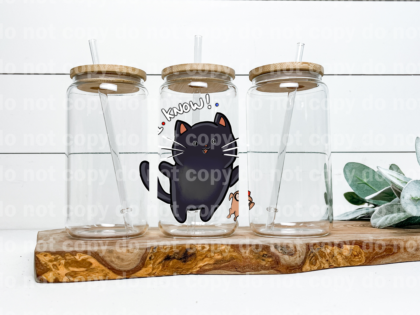 I Know Black Cat and Chick