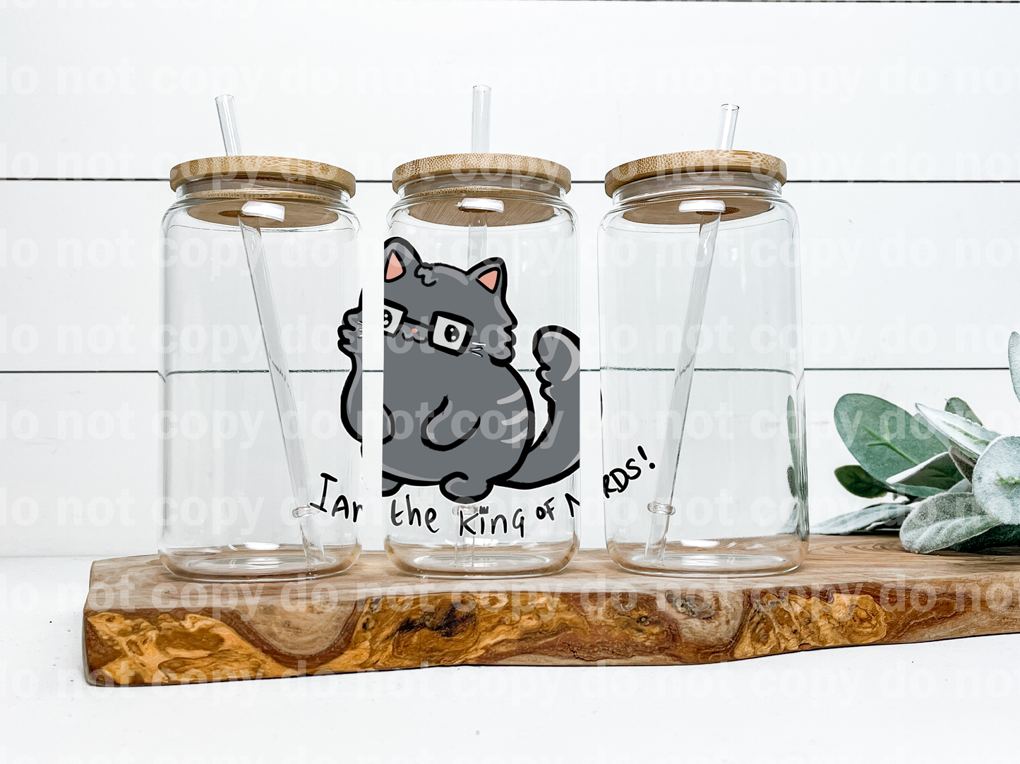 I Am The King Of Nerds Cat