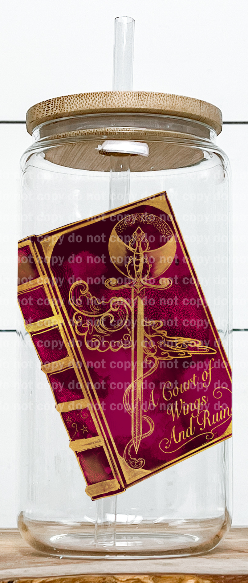 Court of Wings and Ruin Book