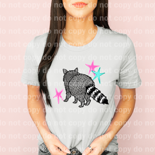 Raccoon and Stars