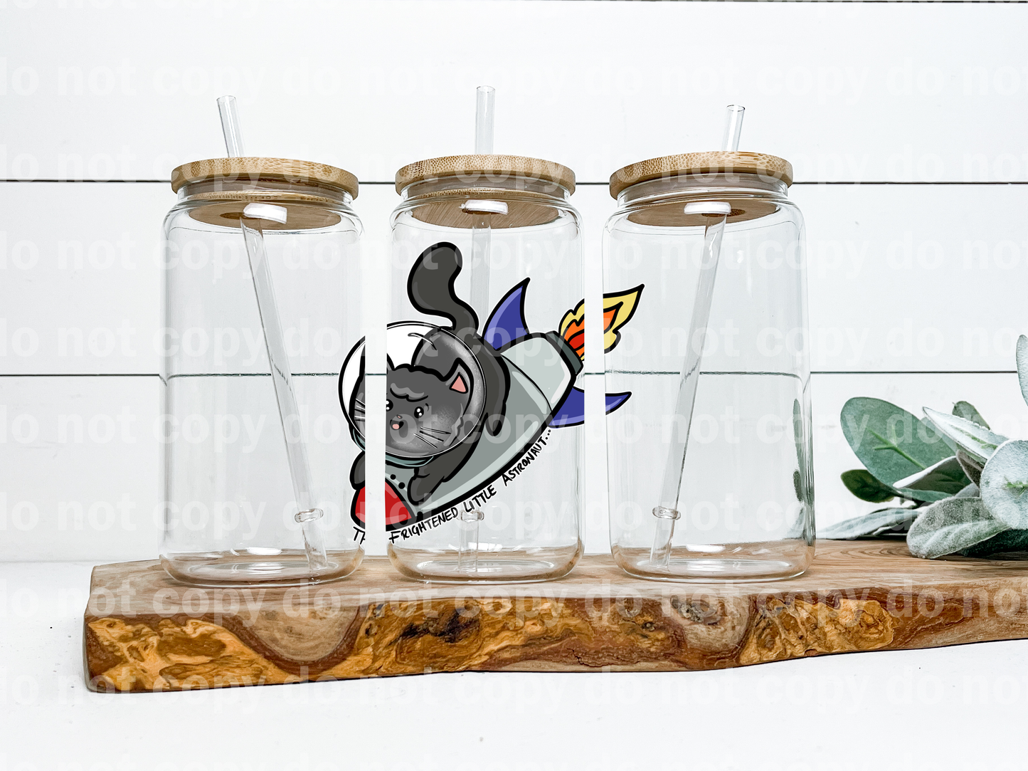 The Frightened Little Astronaut Cat