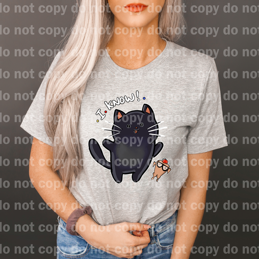 I Know Black Cat and Chick