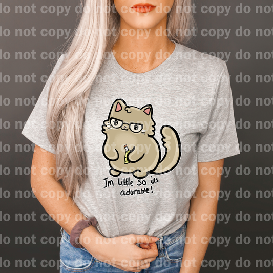 I'm Little So Its Adorable Cat