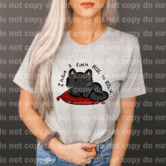 I Have A Little Hell To Raise