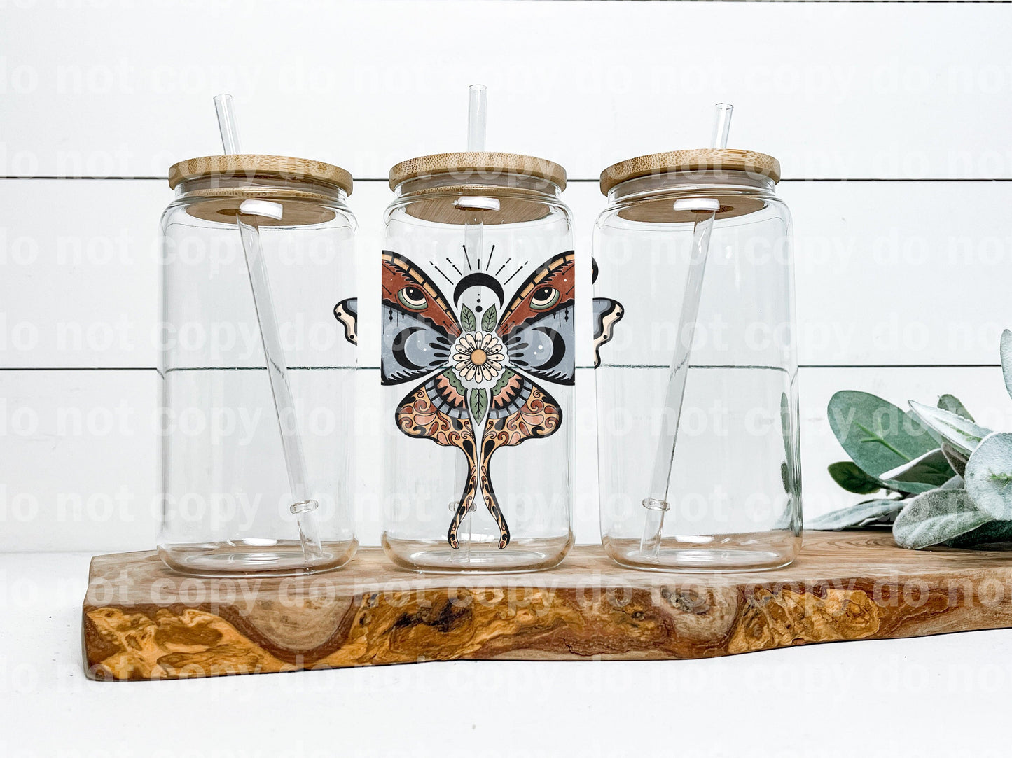 Moth Butterfly Crescent