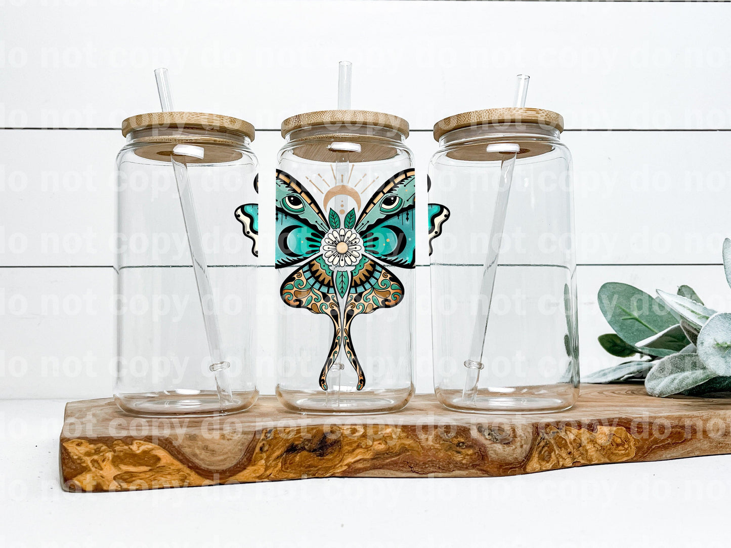 Moth Butterfly Crescent Teal