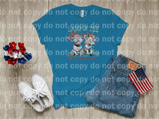 Land Of The Free Because Of The Brave Dream Print or Sublimation Print