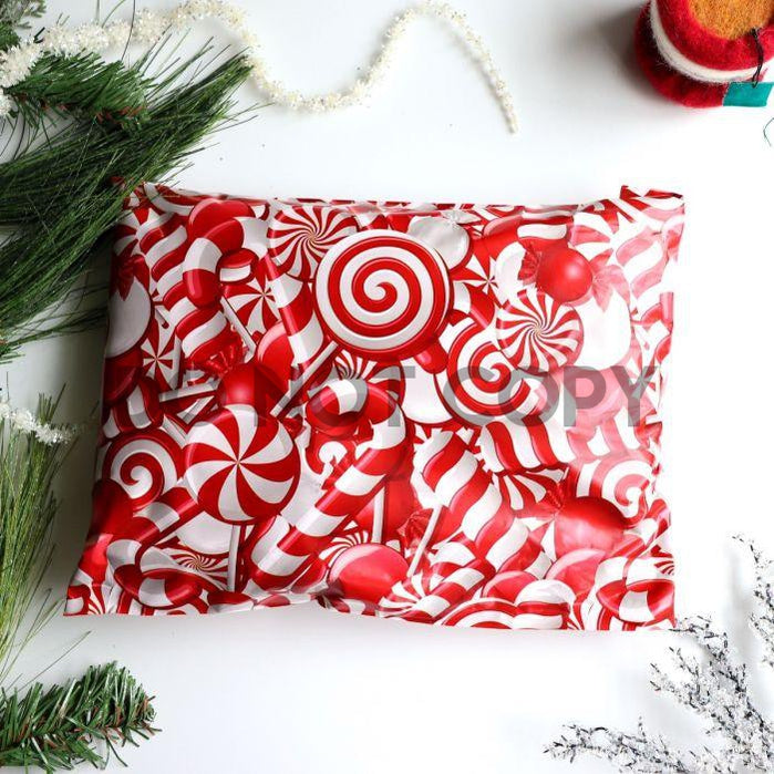 Poly mailer Candy cane christmas holiday 10x13