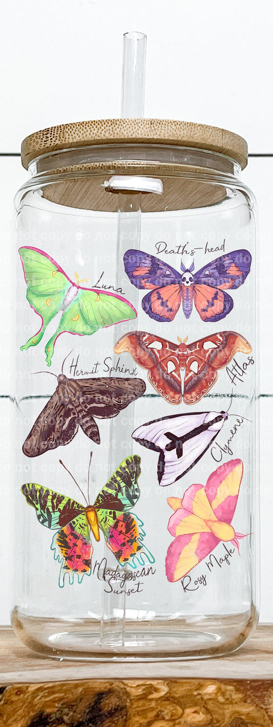 Moth Identification Decal 3 x 4.5