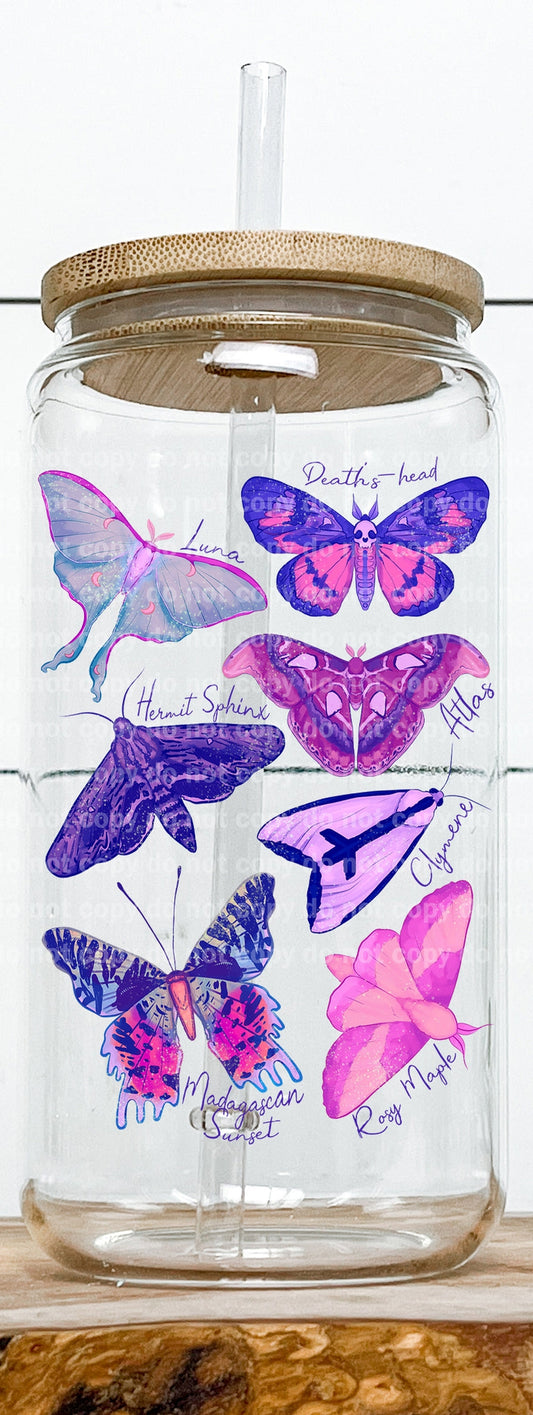 Moth Identification Neon Decal 3 x 4.5