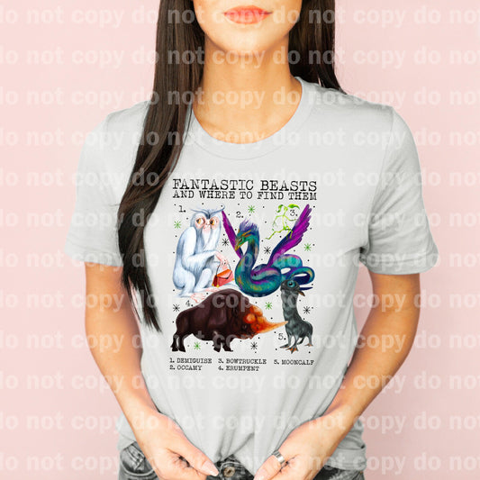 Fantastic Beasts And Where To find Them Dream Print or Sublimation Print