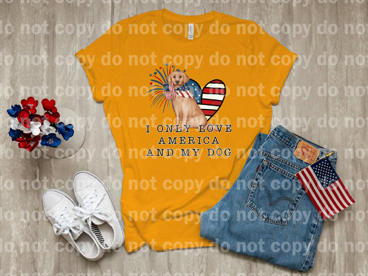 I Only Love America And My Dog Dream Print or Sublimation Print